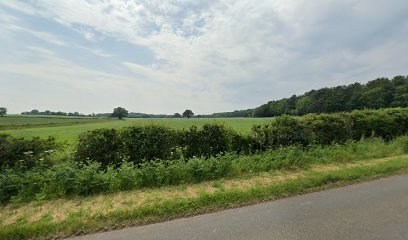 Acorn Dental Laboratory
