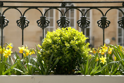 Bath Dental Excellence Dental & Implant Clinic