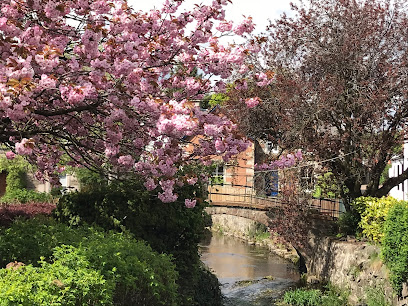 Biggar Dental Practice