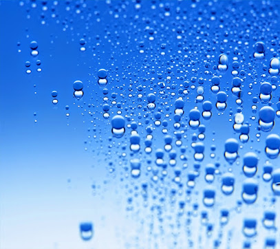 Bosham Dental Laboratory Ltd