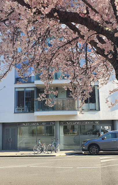 Charles Landau Dentistry