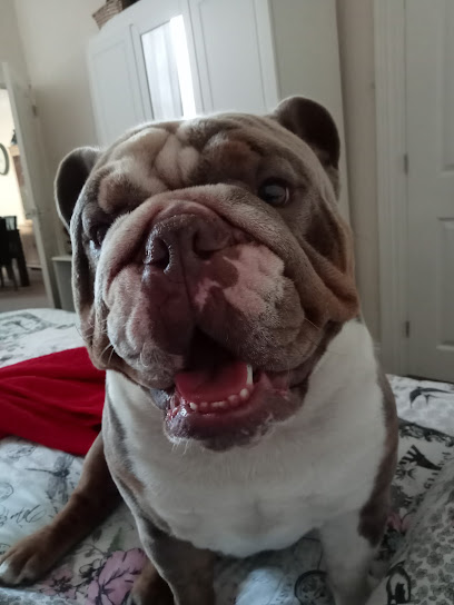 Cleethorpes Dental Practice Ltd