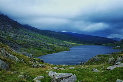 Dental Surgery Sinervo