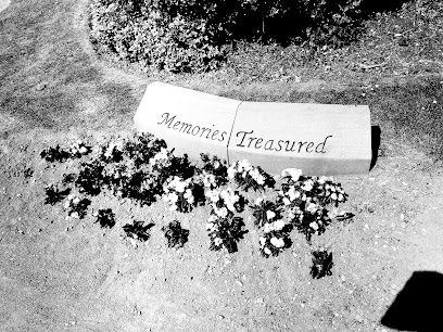 Dumfries Dental Centre