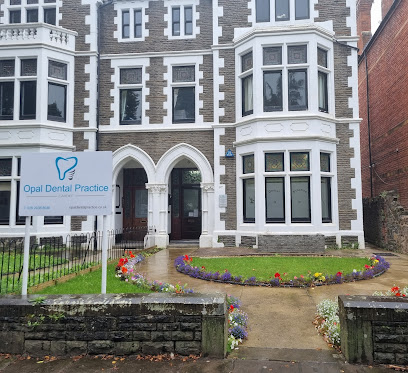 Opal Dental Practice