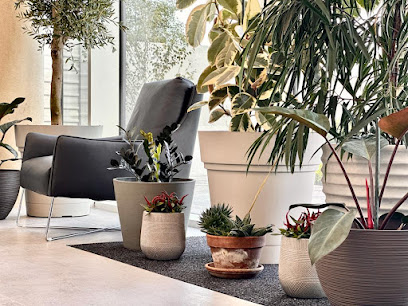 Peterborough Dental Hub