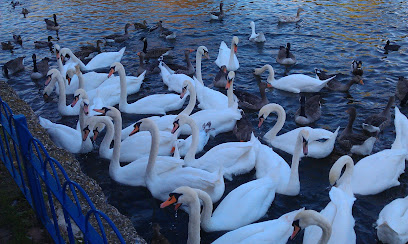 Riverside Dental Centre