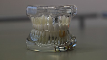 Sandford Dental Labs