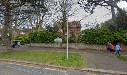 The Endodontic Practice