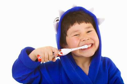 The Hollies Dental Practice