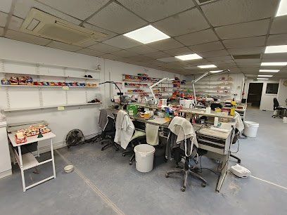 Toplabs Prosthetics Ltd