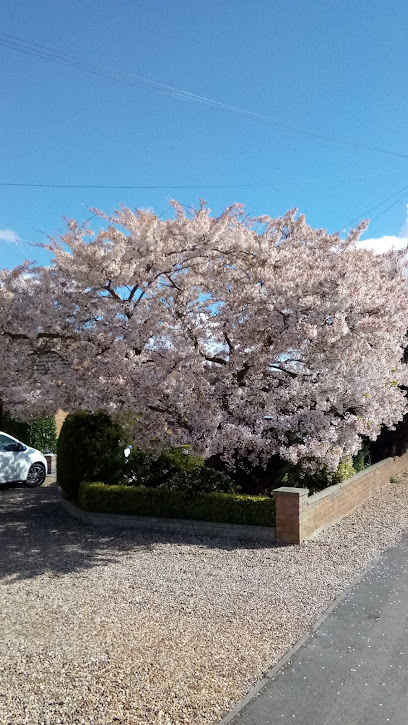 Upwell Rd Dental Centre