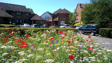 Walford Mill Dental Care Limited